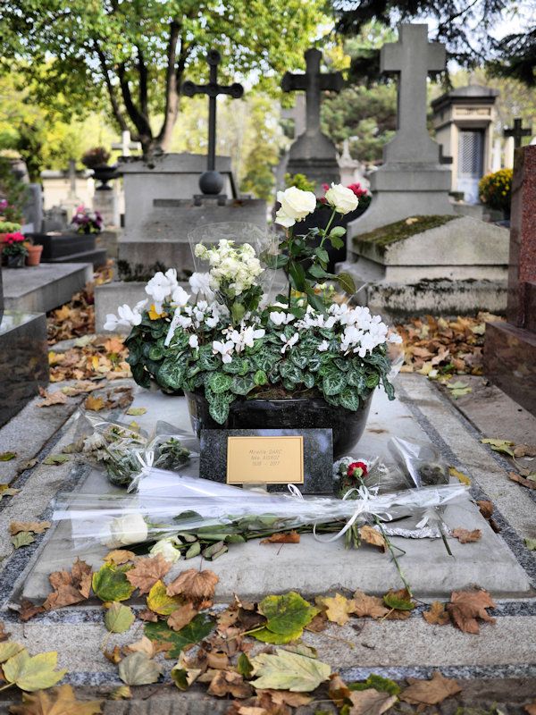 Tombe Mireille Darc