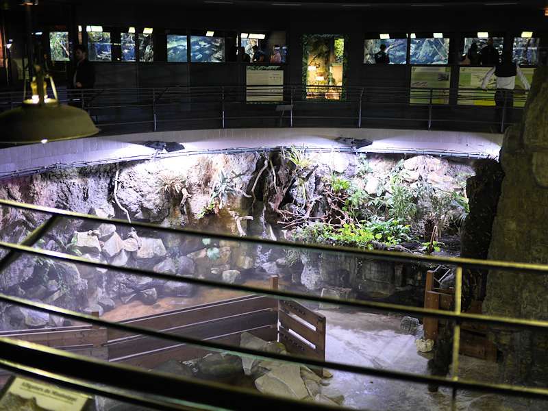 Fosse aux reptiles