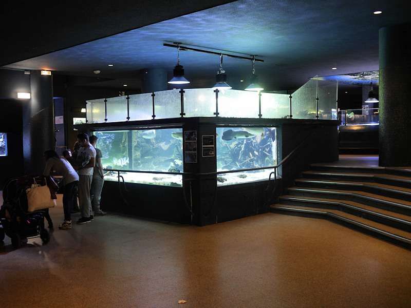 Aquariums
