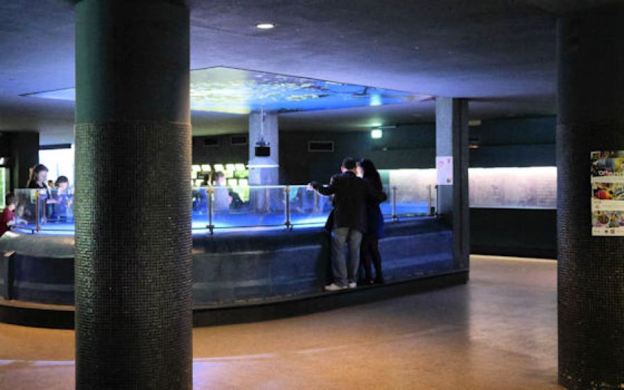Aquarium tropical de la porte dorée